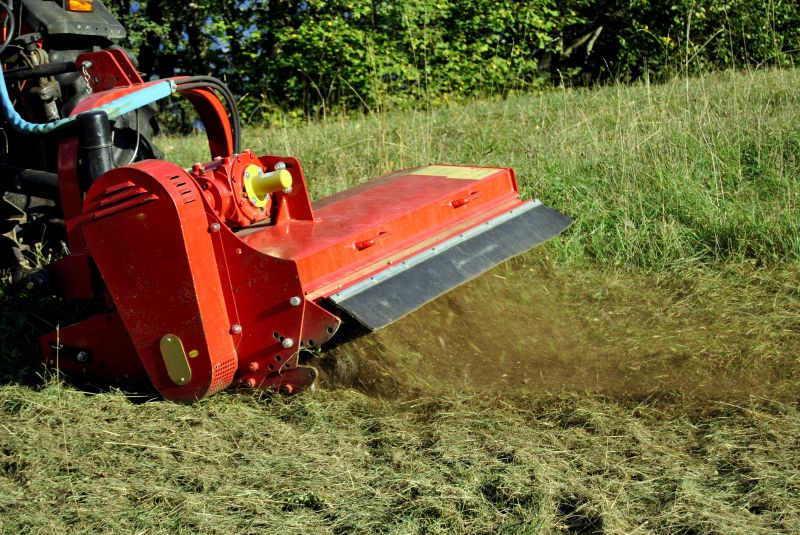 Blackberry Bush Removal Equipment