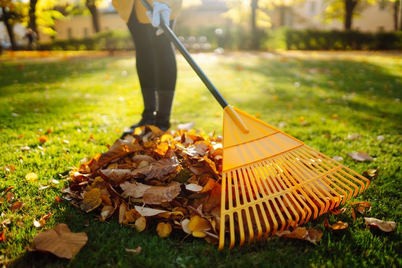 Tools for Fall Cleanup