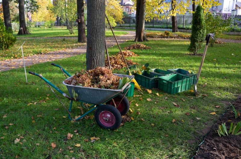 Leaf Removal and Disposal