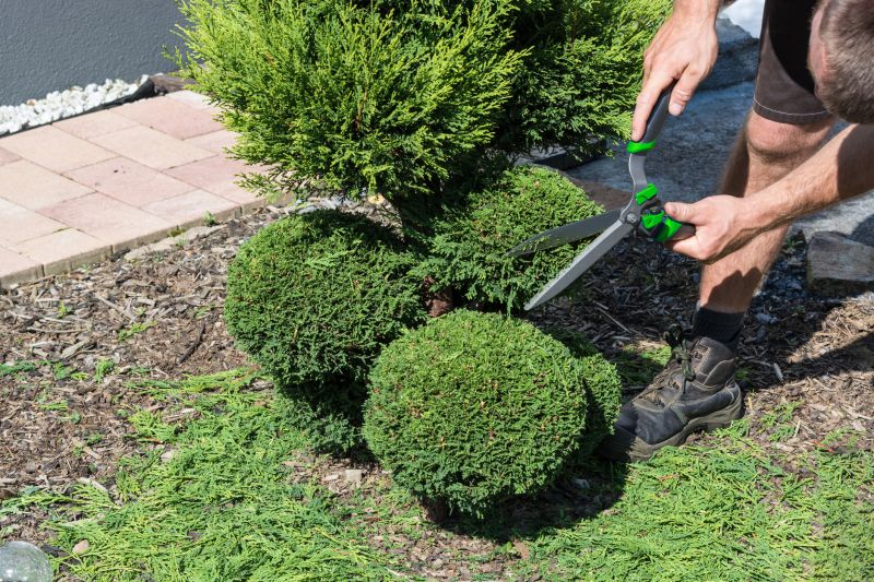 Landscape Pruning Service in Honolulu, HI