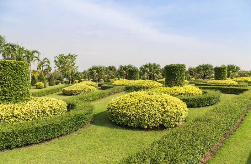 Decorative Shrubs in a Garden