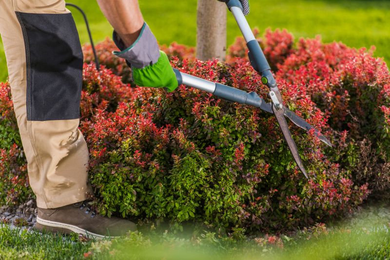 Seasonal Shrub Maintenance Tools