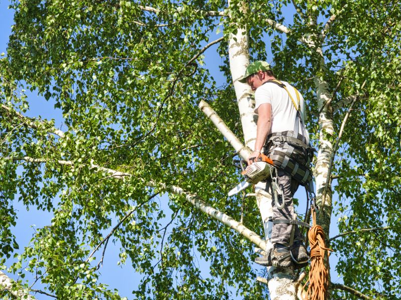 Certified Arborists